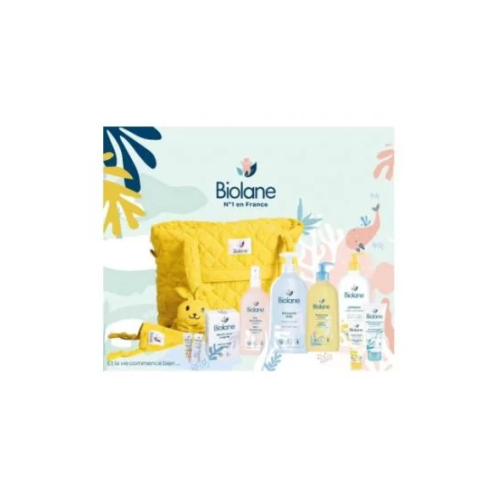 BIOLANE SAC MATERNITE